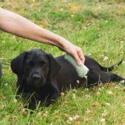 Pet Teezer Welpenbürste -ZOOPLUS Verkäufe 230724 pet teezer welpenbuerste hs 17 0