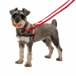 Halti Trainingsleine 16 Halti Trainingsleine -ZOOPLUS Verkäufe 235202 coa halti trainingsleine rot hs1 0