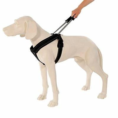 PatentoPet® Sport Geschirr & Leine, Schwarz 3 PatentoPet® Sport Geschirr & Leine, Schwarz