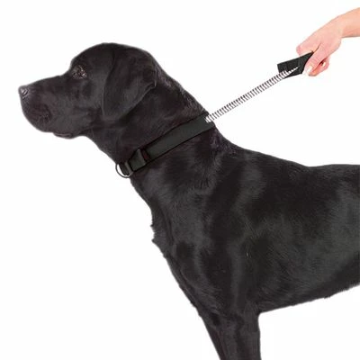 PatentoPet® Sport Halsband, Schwarz – Bild 3