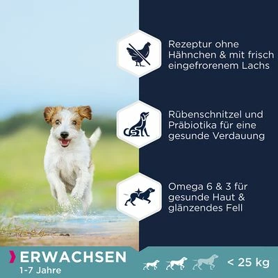 Eukanuba Grain Free Adult Small / Medium Breed Lachs 5 Eukanuba Grain Free Adult Small / Medium Breed Lachs – Bild 3