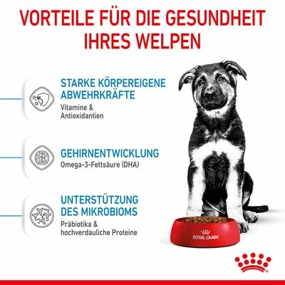 Royal Canin Maxi Puppy 6 Royal Canin Maxi Puppy – Bild 4