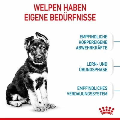 Royal Canin Maxi Puppy 7 Royal Canin Maxi Puppy – Bild 5