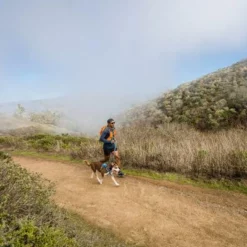 RUFFWEAR Hi & Light Harness, Blue Dusk -ZOOPLUS Verkäufe 262396 262397 262398 262399 262400 262401 ruffwear hinlight harness blue dusk hs 12 3