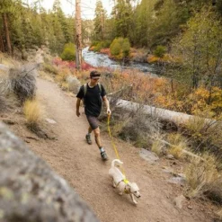 RUFFWEAR Hi & Light Leine -ZOOPLUS Verkäufe 262501 accapi ruffwear hi light leash lichengreen hs 12 0