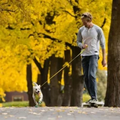 RUFFWEAR Hi & Light Leine -ZOOPLUS Verkäufe 262501 accapi ruffwear hi light leash lichengreen hs 13 5