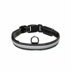 Eyenimal RGB Leuchthalsband -ZOOPLUS Verkäufe 266701 266702 266703 pla eyenimal rgb leuchthalsband hs 05 2