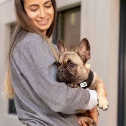 Curli Vest Geschirr Clasp Air-Mesh, Schwarz -ZOOPLUS Verkäufe 267309 267310 267311 267312 267696 267796 curli vest geschirr clasp airmesh schwarz hs 05 4