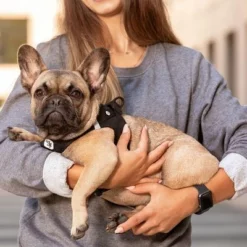 Curli Vest Geschirr Clasp Air-Mesh, Schwarz -ZOOPLUS Verkäufe 267309 267310 267311 267312 267696 267796 curli vest geschirr clasp airmesh schwarz hs 06 6