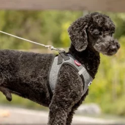 Curli Ultrastarke Taschenleine -ZOOPLUS Verkäufe 267896 267897 ultrastarke taschenleine hs 05 3