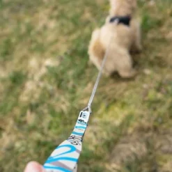 Curli Ultrastarke Taschenleine -ZOOPLUS Verkäufe 267896 267897 ultrastarke taschenleine hs 06 3