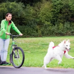 Curli Ultrastarke Taschenleine -ZOOPLUS Verkäufe 267896 267897 ultrastarke taschenleine hs 07 2