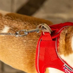 Curli Ultrastarke Taschenleine -ZOOPLUS Verkäufe 267896 267897 ultrastarke taschenleine hs 10 7