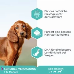 Eukanuba Puppy Sensitive Digestion Mit Huhn & Pute -ZOOPLUS Verkäufe 285296 285297 tetra eukanuba puppy sensitive digestion huhnpute hs 02 0