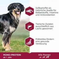 Eukanuba Adult Mono-Protein Mit Lachs -ZOOPLUS Verkäufe 285299 285298 tetra eukanuba adult monoprotein lachs hs 02 9