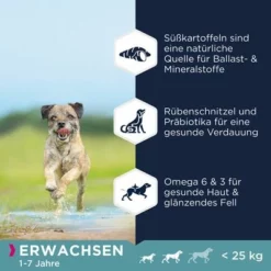 Eukanuba Grain Free Adult Small / Medium Breed Huhn -ZOOPLUS Verkäufe 285396 285397 tetra eukanuba grainfree adult small hs 01 0