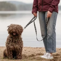 Hurtta Bare Verstellbare Führleine, Coal 8 Hurtta Bare Verstellbare Führleine, Coal -ZOOPLUS Verkäufe 288348 hurtta bare verstellbare fuehrleine coal hs 02 1