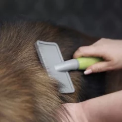 Moser Große Zupfbürste 7 Moser Große Zupfbürste -ZOOPLUS Verkäufe 289696 moser grosse zupfbuerste hs 02 6