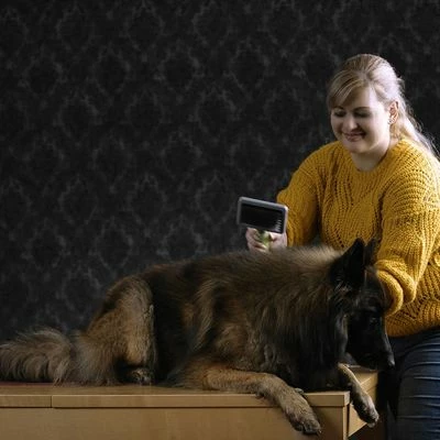 Moser Große Zupfbürste 4 Moser Große Zupfbürste – Bild 2