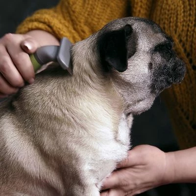 Moser Unterwollkamm 4 Moser Unterwollkamm – Bild 2