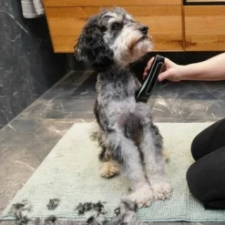 Kooa Akku-Schermaschine GEAR 3S -ZOOPLUS Verkäufe 293196 kooa akku schermaschine gear 3s 1 7