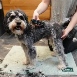 Kooa Akku-Schermaschine GEAR 3S -ZOOPLUS Verkäufe 293196 kooa akku schermaschine gear 3s 4 7