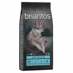 11 + 1 Kg Gratis! 12 Kg Briantos Getreidefreies Trockenfutter 9 11 + 1 Kg Gratis! 12 Kg Briantos Getreidefreies Trockenfutter -ZOOPLUS Verkäufe 2 briantos hund adult salmon 12kg 1000x1000 1