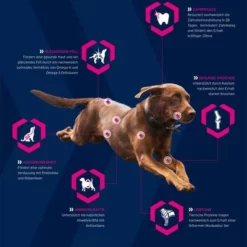 Eukanuba Adult Breed Specific Dachshund -ZOOPLUS Verkäufe 2 icons generell eukanuba hund 6