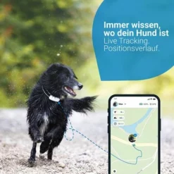 Tractive GPS Tracker Für Hundeneu 10 Tractive GPS Tracker Für Hundeneu -ZOOPLUS Verkäufe 2 tractive gps hund 6