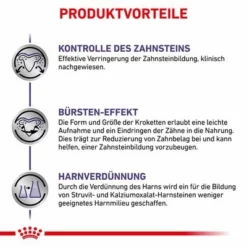 Royal Canin Expert Canine Dental Small Dog -ZOOPLUS Verkäufe 3182550783910 333 5 1