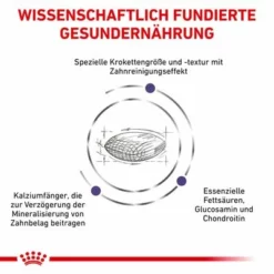 Royal Canin Expert Canine Dental Medium & Large Dog -ZOOPLUS Verkäufe 3182550925310 328 4 0