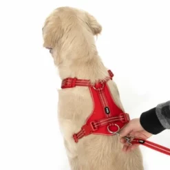 TIAKI Hundeleine Reflective Rubber, Rot 22 TIAKI Hundeleine Reflective Rubber, Rot -ZOOPLUS Verkäufe 323005 neoprene geschirr l fg 1662 4