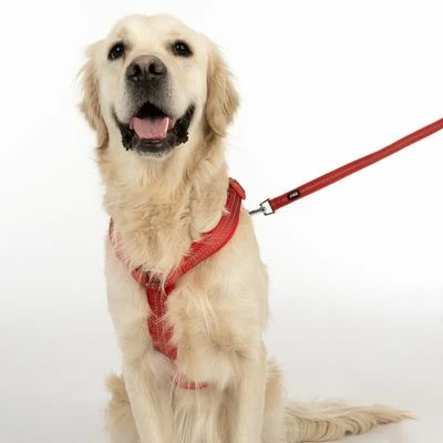 TIAKI Geschirr Neoprene, Rot 12 TIAKI Geschirr Neoprene, Rot – Bild 10