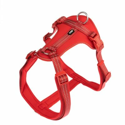 TIAKI Geschirr Neoprene, Rot 4 TIAKI Geschirr Neoprene, Rot – Bild 2