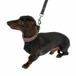 TIAKI Hundeleine Reflective Rubber, Schwarz 15 TIAKI Hundeleine Reflective Rubber, Schwarz -ZOOPLUS Verkäufe 323014 323497 dackel fg 1304 6