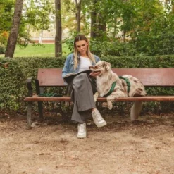 Nomad Tales Blush Geschirr, Emerald -ZOOPLUS Verkäufe 323020 nomad tales blush geschirr emerald 01 7