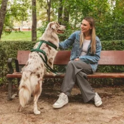 Nomad Tales Blush Geschirr, Emerald -ZOOPLUS Verkäufe 323020 nomad tales blush geschirr emerald 02 8