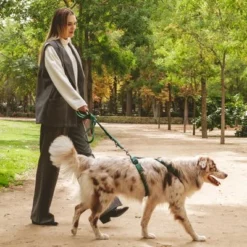 Nomad Tales Blush Geschirr, Emerald -ZOOPLUS Verkäufe 323020 nomad tales blush geschirr emerald 03 1