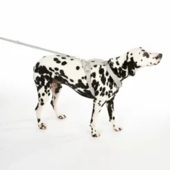 TIAKI Hundeleine Reflective Rubber, Grau -ZOOPLUS Verkäufe 323033 neoprene geschirr l fg 0468 7