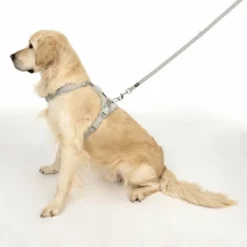 TIAKI Hundeleine Reflective Rubber, Grau -ZOOPLUS Verkäufe 323033 neoprene geschirr l fg 1705 5