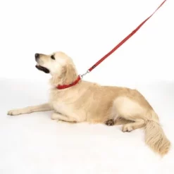 TIAKI Hundeleine Reflective Rubber, Rot 23 TIAKI Hundeleine Reflective Rubber, Rot -ZOOPLUS Verkäufe 323199 soft save m fg 1630 5