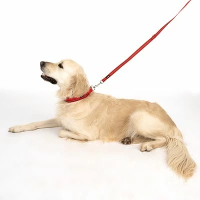 TIAKI Hundeleine Reflective Rubber, Rot 12 TIAKI Hundeleine Reflective Rubber, Rot – Bild 10
