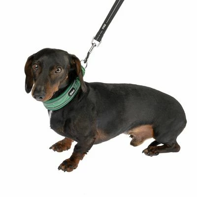 TIAKI Hundeleine Reflective Rubber, Schwarz 11 TIAKI Hundeleine Reflective Rubber, Schwarz – Bild 9