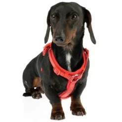 TIAKI Geschirr Neoprene, Rot 22 TIAKI Geschirr Neoprene, Rot -ZOOPLUS Verkäufe 323397 neoprene geschirr s fg 1487 1