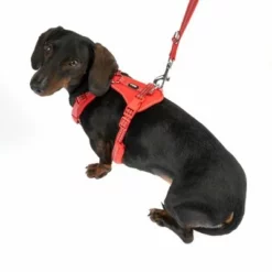 TIAKI Geschirr Neoprene, Rot 28 TIAKI Geschirr Neoprene, Rot -ZOOPLUS Verkäufe 323397 neoprene geschirr s fg 1498 9