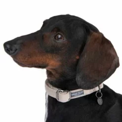 Nomad Tales Blush Halsband, Taupe -ZOOPLUS Verkäufe 324699 blush s fg 6993 7