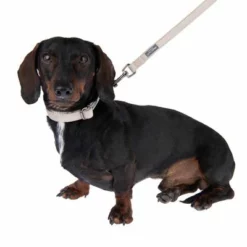 Nomad Tales Blush Halsband, Taupe -ZOOPLUS Verkäufe 324699 blush s fg 6996 2