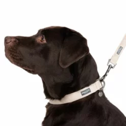 Nomad Tales Blush Halsband, Taupe -ZOOPLUS Verkäufe 324701 blush l fg 7186 7