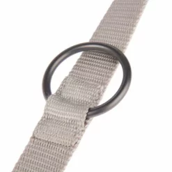 Nomad Tales Blush Hundeleine, Taupe -ZOOPLUS Verkäufe 325297 nomad tales blush hundeleine taupe fg 1391 2