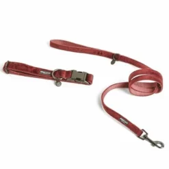 Nomad Tales Blush Hundeleine, Rosé -ZOOPLUS Verkäufe 325600 325601 pla nomadtales blush hundeleine rose hs 01 0